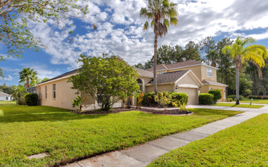 12709 Tar Flower Dr, Tampa, FL 33626